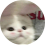 lvnebelle